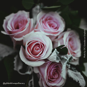 Pink Roses